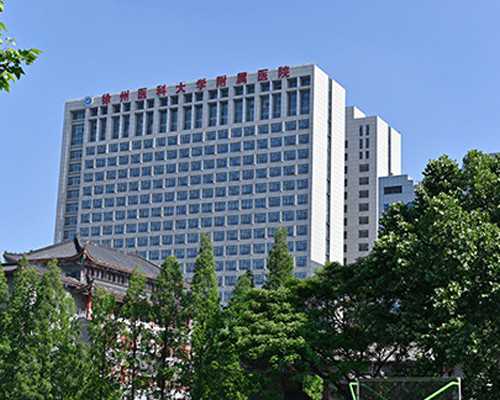 国内大医院哪家供卵,什么是试管婴儿*化？做试管的*率高吗？