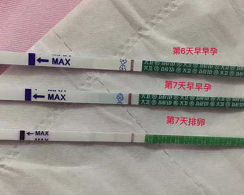 国内供卵有哪些方式,郑州市妇幼保健院试管婴儿费用表2026总花费明细实例参考